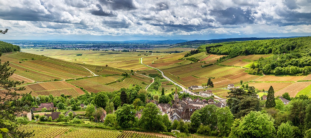 Borgonha – sofisticação e elegância em seu estado mais puro